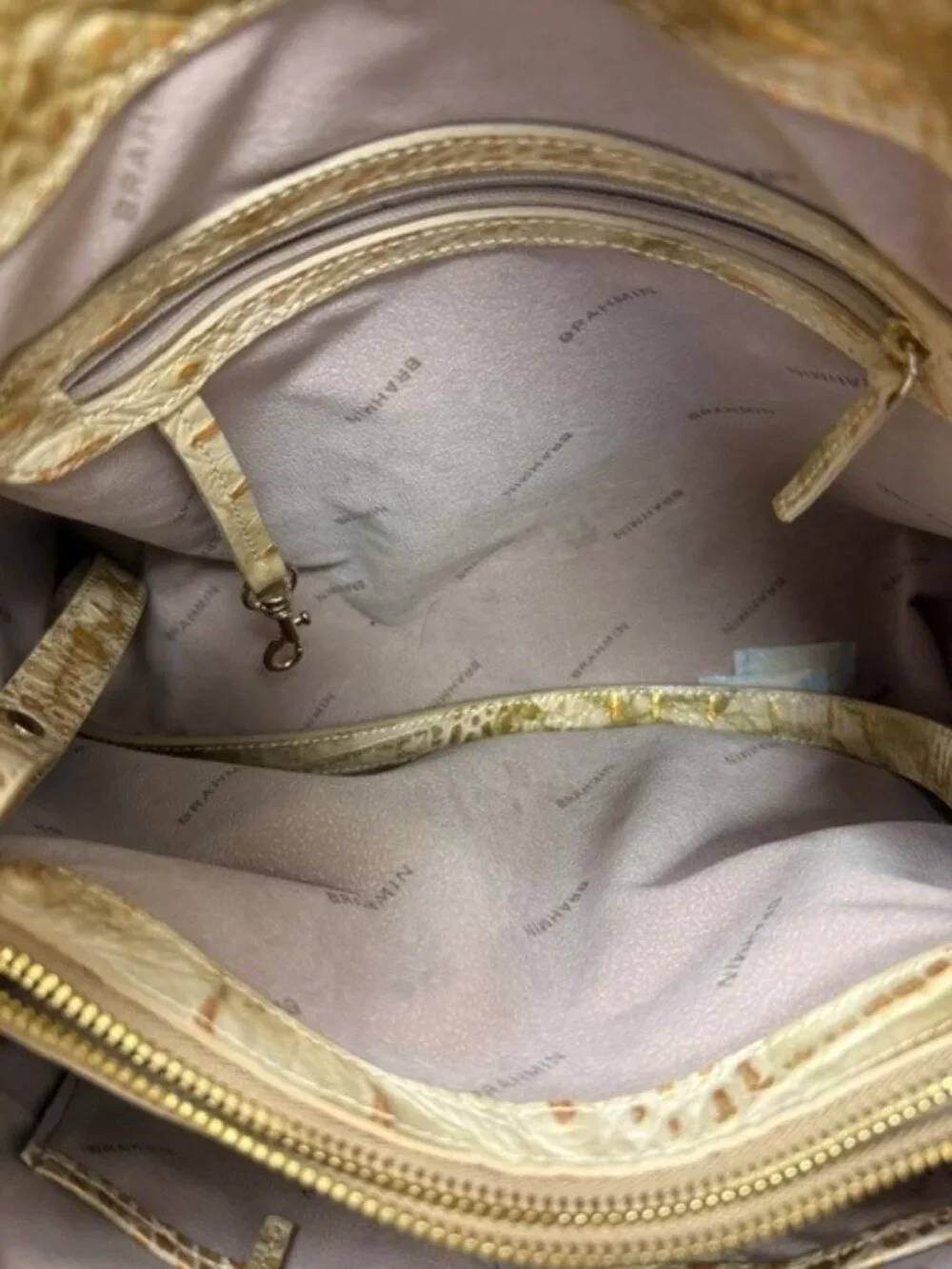Brahmin chic python